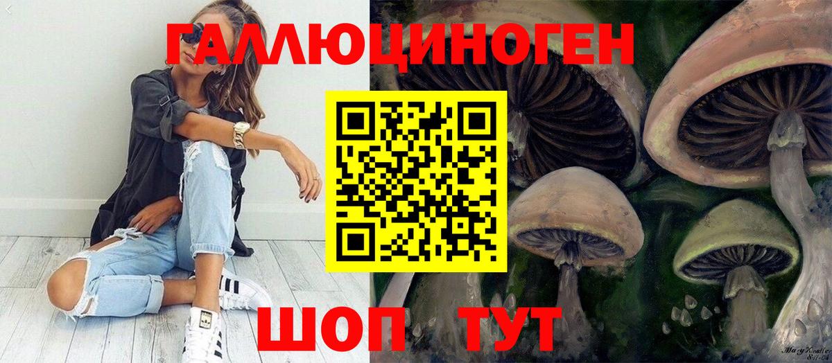 Псилоцибиновые грибы Psilocybe Заволжье